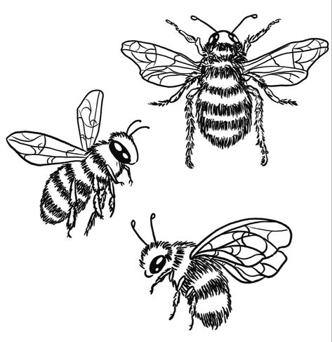 Flying Bees Tattoo, Bumble Bee Drawing Cute, Bumble Bee Drawings, Bee Outline Drawing, Bubble Bee Drawing, Bee Flying Drawing, Bee Flying Tattoo, Flying Bee Tattoo, Bug Drawing Simple