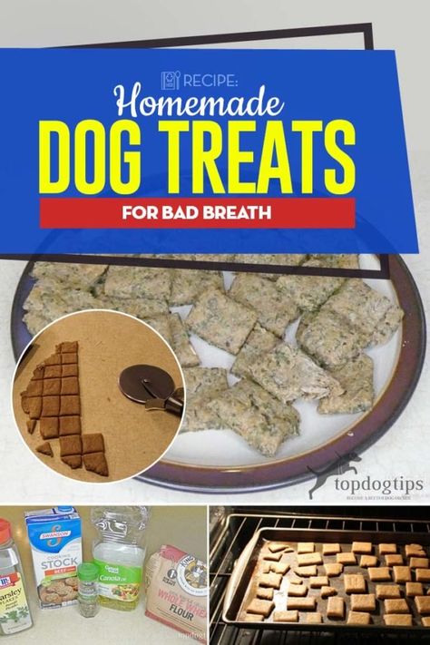 Dog Treats For Bad Breath, Fresh Breath Dog Treats, Dog Treats Homemade, Dog Treats Homemade Easy, Easy Dog Treat Recipes, Easy Dog Treats, Healthy Dog Treats Homemade, Dog Treats Homemade Recipes, Frozen Dog