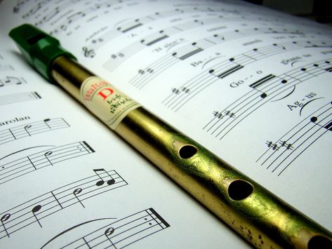 Tin Whistles, Irish Flute, Tin Whistle, Acoustic Guitar Lessons, Learn Violin, Violin Lessons, Note Sheet, Irish Music, Guitar Tips