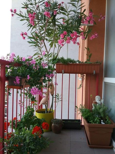 Wedding Ideas Garden, Chic Balcony, Balcony Swing, Garden Wedding Ideas, Eco House Design, Diy String Lights, India Home Decor, Terrace Decor, Small Balcony Design