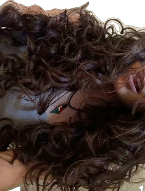 Light Brown Curly Hair Aesthetic, Mid Length Curly Brown Hair, Brown Wavy Hair Aesthetic, Curly Hair Aesthetic Pictures, Long Brown Hair Curly, Pfp Curly Hair, Pretty Wavy Hair, Curly Dark Brown Hair, Curly Brunette Hair