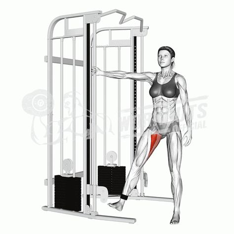 Hip Adduction Machine, Hip Adduction, Beginners Gym Workout Plan, Chest Workout Routine, Free Workout Plans, Gym Workout Plan, Best Leg Workout, Hip Exercises, Single Leg Deadlift