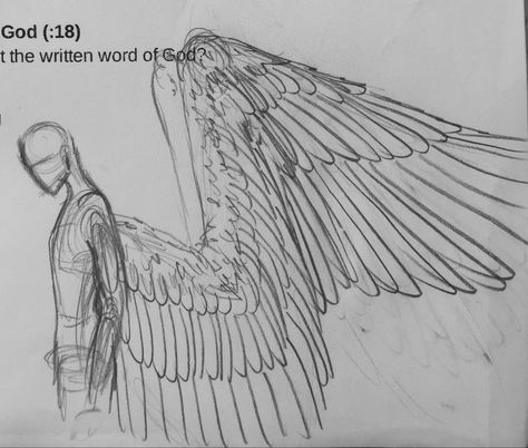 Huge Wings Drawing, Angel Side Profile Drawing, Scary Wings Drawing, Wings On Back Drawing, Angle Drawing Reference Wings, People With Wings Drawings, Person With Wings Art, Big Wings Drawing, Person With Wings Reference