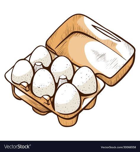 Eggs Drawing, Egg Drawing, Eggs Illustration, Food For Breakfast, Farm Cartoon, Egg Pictures, Cooking Design, Cute Egg, Food Box