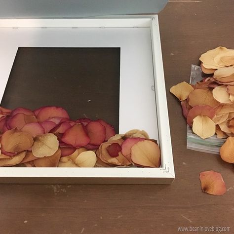 IMG_1170 Pressed Rose Petals, Diy Shadow Box, God Made You, Dirt Cheap, Single Rose, Joann Fabrics, Brown Paper, Off White Color, Rose Petals