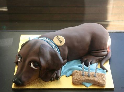 Dog themed cake - For all your cake decorating supplies, please visit craftcompany.co.uk Dachshund Cake, Dachshund Stuff, Dog Cakes, Animal Cakes, 35th Birthday, Animal Cake, Dog Cake, Wiener Dogs, Cake Pictures