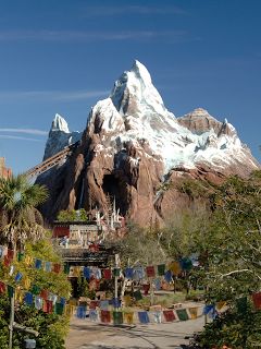 Disney Landscape, Didny Worl, Animal Line Art, Expedition Everest, Disney Animal Kingdom Lodge, Walt Disney World Orlando, Disney Layouts, Disney Board, Disney World Magic Kingdom