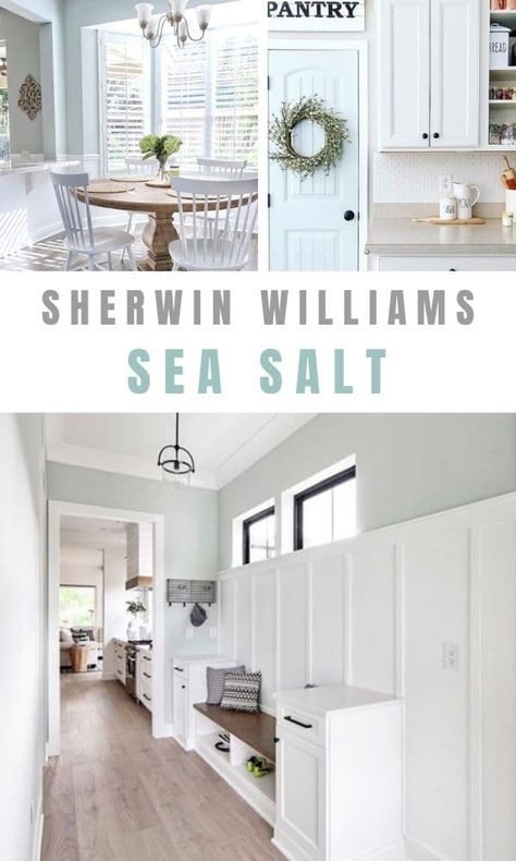 Sea Salt Sherwin Williams Kitchen Walls, Aw Sea Salt, Laundry Room Colors Sherwin Williams, Sea Salt In Bathroom, Sw Topsail Vs Sea Salt, Sea Salt Walls Living Room, Sea Salt Entryway, Sherman Williams Sea Salt Living Rooms, Seasalt Sw Living Room