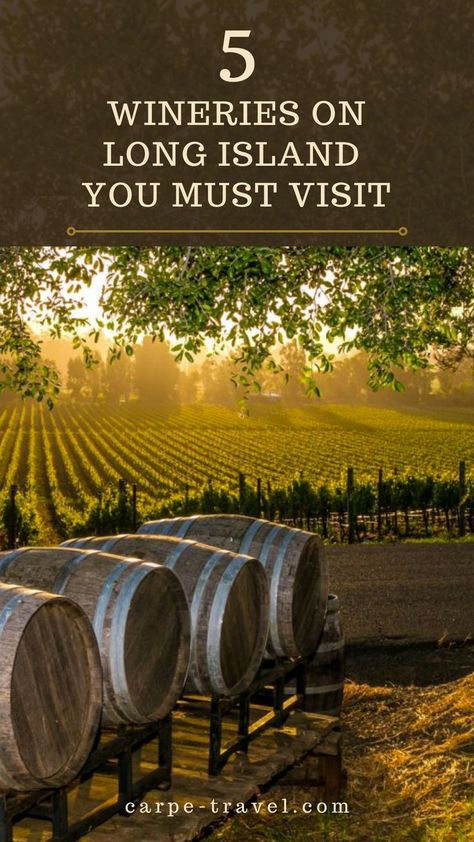 The Hamptons and Montauk may draw the crowds to Long Island, but wine lovers take note - there are some amazing Long Island wineries to sip in. Our Long Island Wine Travel Guide shares where to sip, stay and things to do to explore the Long Island wine country. Long Island Wineries, North Fork Long Island, Wine Country Travel, York Travel, New York Travel Guide, Wine Travel, Long Island Ny, Wine Region, New York Travel