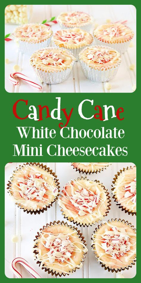 We love our Candy Cane White Chocolate Mini Cheesecakes because this is the time of year when we need a quick and easy dessert, and these are just that! Plus, they’re always a hit at holiday gatherings! These adorable mini cheesecakes are made with candy canes, vanilla wafers, cream cheese, eggs, sugar, and muffin cup liners. || cookingwithruthie.com #minicheesecakes #holidayrecipe #christmasdessert #christmas #candycanes #candycanerecipe Chocolate Mini Cheesecakes, Mini Cheesecakes Recipe, Candy Cane Dessert, Candy Cane Recipe, Muffin Cup, Mini Cheesecake Recipes, Cream Cheese Eggs, Holiday Recipes Christmas, Vanilla Wafers