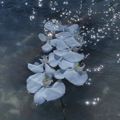 Water Fairy, Tinkerbell Fairies, Pixie Hollow, Silver Mist, Fairy Aesthetic, Disney Fairies, Disney Aesthetic, Floating In Water, Fantasy Aesthetic