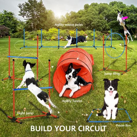 Dog Agility Equipment Complete Package l Dog Agility Course Equipment Kit 6 Exercise Modes | Obstical Course for Dogs | Sporting Dog Training Dog Agility Equipment, Dog Agility Course, Dog Agility, Sporting Dogs, Dog Puppy, Dog Training, For Dogs, Pet Toys, Train