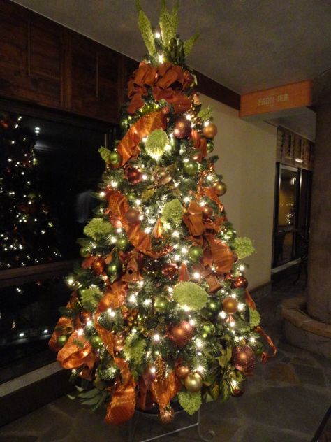 Christmas Tree with our Team Green and Orange colors Burnt Orange Christmas Tree, Orange Christmas Decorations, Burnt Orange Christmas, Orange Christmas Decor, Orange Christmas Tree, Camo Christmas, Yule Tide, Xmas Wrapping, Rainbow Christmas Tree