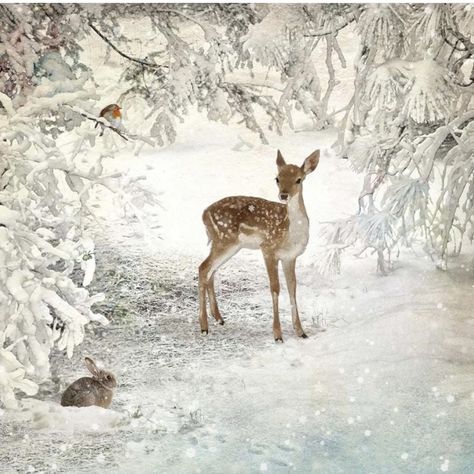 Woodland Animal Art, Arte Grunge, Christmas Landscape, Bug Art, A Deer, Christmas Scenes, Arte Fantasy, Christmas Paintings, Christmas Illustration