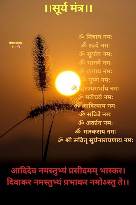 Vishnu Mantra, Surya Dev, Vedic Astrology Charts, All Mantra, Mantra For Good Health, Tips For Happy Life, Sanskrit Quotes, Sanskrit Mantra, Astrology Remedy