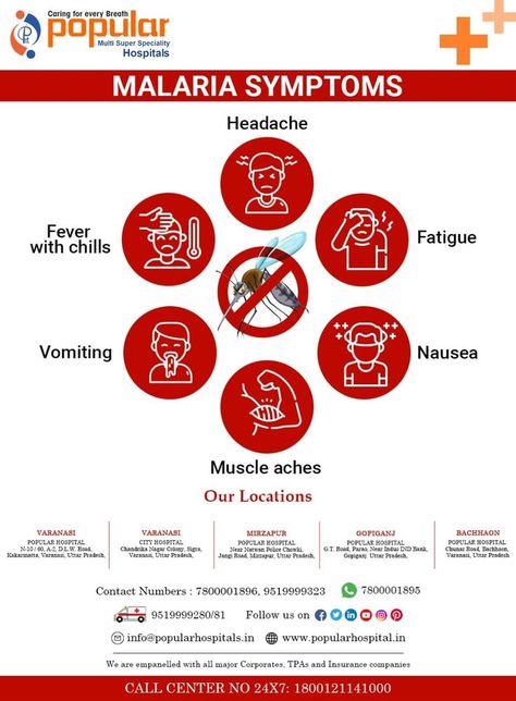 MALARIA SYMPTOMS 👉Headache 👉Fever with chills 👉Fatigue 👉Vomiting 👉Nausea 👉Muscle aches www.popularhospital.in #popularhospitals #malaria #malariasymptoms #malariatreatment #malariaprevention #malariaprevention #besthospital #BestHospitalinIndia #mosquitobites #endmalaria #health #healthcare Malaria Symptoms, Malaria Prevention, City Hospital, Best Hospitals, Muscle Aches, Headache, Health