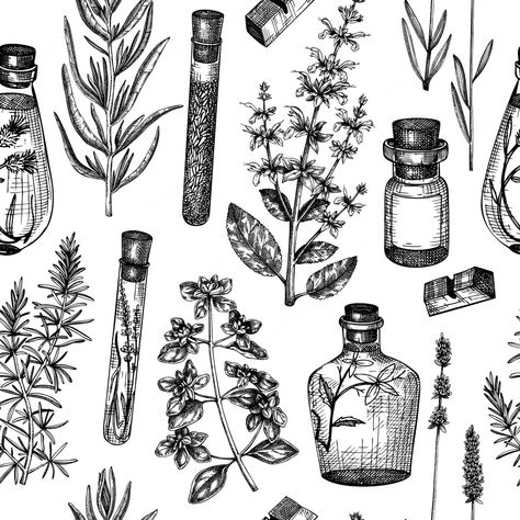 Herb Tattoo, Plants Background, Herbs Illustration, Label Packaging, Plant Background, Fancy Art, Illustration Vintage, Hand Sketch, Plant Illustration