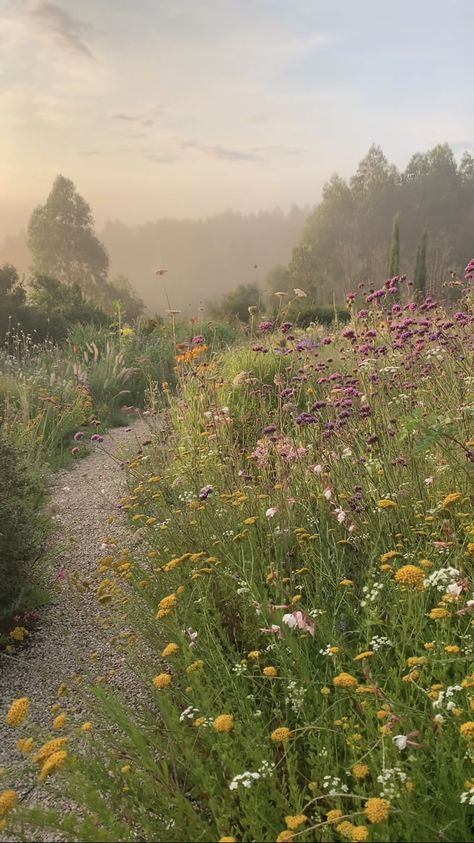 Pretty Field Aesthetic, Daisy's Aesthetic, Flower Pathway, Long Widget, Flower Path, Reference Photos For Artists, Field Of Flowers, Pretty Landscapes, Flower Landscape