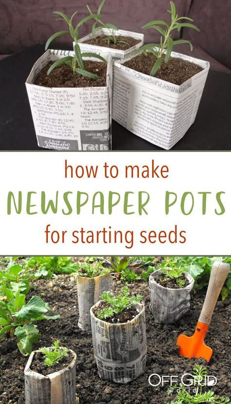 Diy Paper Pots For Plants, Paper Pots For Seedlings, Newspaper Seedling Pots, Plant Starters Diy, Newspaper Pots Seed Starting, Diy Seedling Pots, Upcycle Plastic Plant Pots, Diy Seed Starting Tray, Newspaper Pots