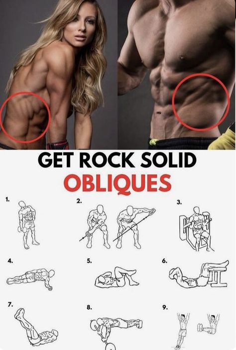 Leg Transformation, Oblique Exercises, Oblique Workout, Gym Workout Planner, Gym Workout Chart, Workout Training Programs, Abs Workout Gym, Ripped Abs, Abs And Cardio Workout