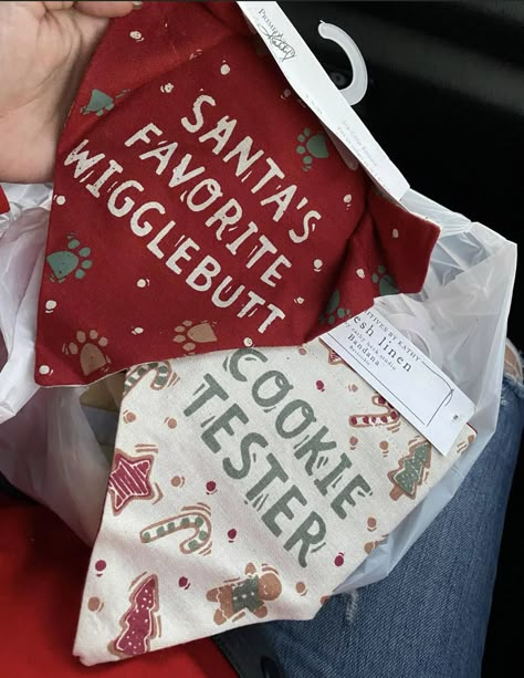 Dog Bandana Cricut Ideas, Holiday Dog Bandanas, Dog Bandana Cricut, Christmas Ideas For Dogs, Dog Christmas Ideas, Cricut Projects For Pets, Christmas Dog Quotes, Dog Bandana Sayings, Christmas For Dogs