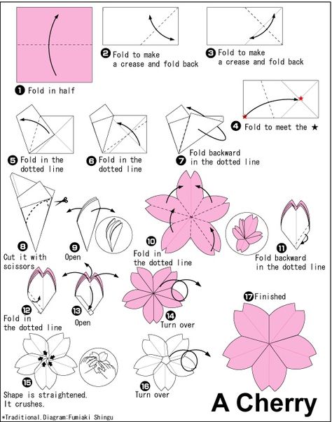 sakura origami tutorial by dvryeanee Origami Flowers, Cherry Blossom, Origami, Blossom, Cherry, Flowers