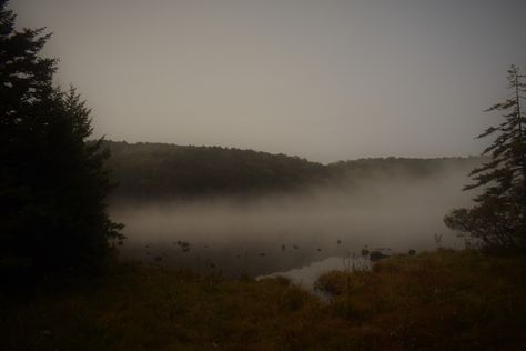 Gloomy Landscape Painting, Forest Fog Aesthetic, Gloomy Landscape, Dark Academia Instagram, Foggy Aesthetic, Iphone Wallpaper Orange, Gloomy Aesthetic, Plains Landscape, Foggy Landscape