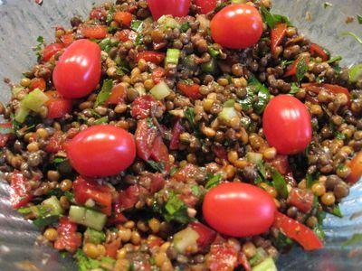 My Olive-Oil-Free Mediterranean Lentil Salad ala Moosewood Esselstyn Diet, Mediterranean Lentil Salad, Mediterranean Diet Snacks, Healthy Vegan Snacks, Lentil Salad, Olive Oils, Diet Snacks, Entertainment Area, Mediterranean Cuisine