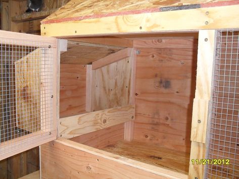 Our new breeding / brooder / grow out pens | BackYard Chickens - Learn How to Raise Chickens Big Bird Cage, Brooder Box, Chicken Coop Pallets, Chicken Brooder, Chicken Shed, Chicken Pen, Raising Rabbits, Nest Box, Chicken Cages