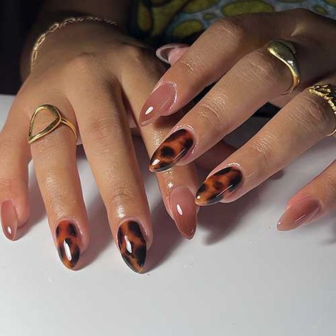 Almond-shaped tortoise shell nails complemented by two dark nude accent nails for a stylish manicure. Brown And Tortoise Nails, Tortoiseshell Almond Nails, Tortishell Nails Design With Gold, Tortoise Nails With Gold, Tortoise Shell Gel Nails, Red Tortoise Nails, Short Tortoise Shell Nails, Turtle Shell Nails, Tortishell Nails Design