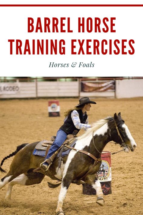 How To Teach A Horse To Neck Rein, Horse Riding Drills, Barrel Horse Drills, Flatwork Exercises Horses, Things To Do With Your Horse, Barrel Racing Drills, Horse Riding Exercises, Barrel Drills, Horse Drills