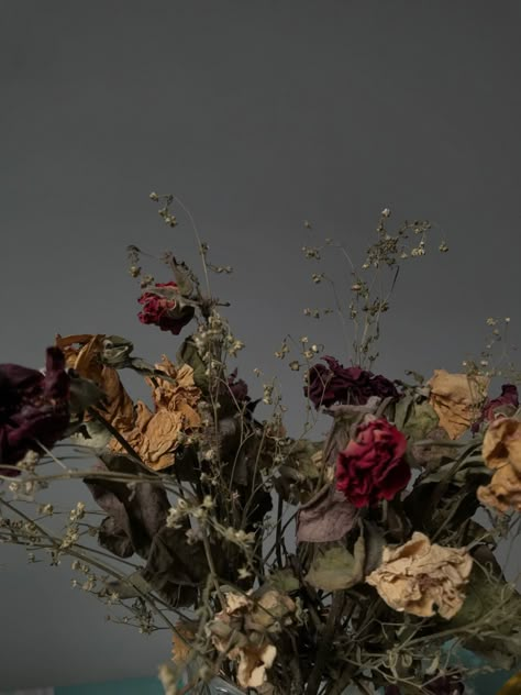 Cemetery Flowers Aesthetic, Dull Flowers Aesthetic, Rotting Flowers Aesthetic, Faded Flowers Aesthetic, Dark Academia Dried Flowers, Died Flowers Aesthetic, Dark Flower Asthetics Photos, Withering Flower Aesthetic, Dark Academia Bouquet