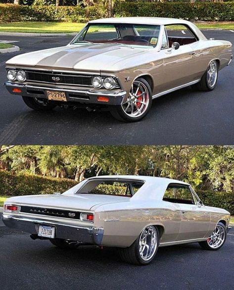 66 Chevelle, 1966 Chevelle, Old Muscle Cars, Chevrolet Chevelle Ss, Course Automobile, Chevy Muscle Cars, Chevy Chevelle, Custom Muscle Cars, Classic Sports Cars