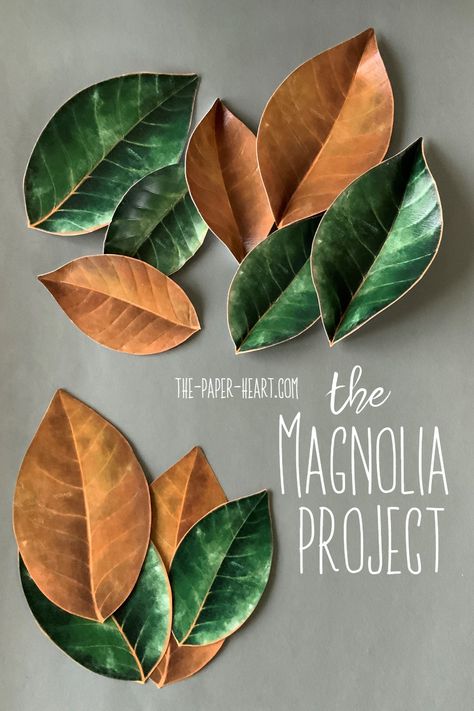 Magnolia Leaf Template, Leaf Sculpture Art, Leaf Shapes Template, How To Make Paper Leaves, Crepe Paper Leaves, Paper Magnolia, Paper Flower Arrangements, Coffee Filter Flowers, Diy Leaves