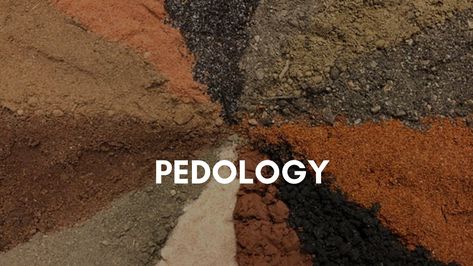 Let's Learn about "Pedology" with iLearn for Free!!!  Pedology is the study of soils in their natural environment. It is one of two main branches of soil science, the other being edaphology. Pedology deals with pedogenesis, soil morphology, and soil classification, while edaphology studies the way soils influence plants, fungi, and other living things.   Enroll Now: https://ilearnclub.org/search?q=Pedology  #Pedology #StudyofSoil #Soil #SoilScience #Edaphology #Pedogenesis #iLearn #WhereLearning Soil Classification, Soil Science, Enroll Now, Sticker Ideas, Living Things, The Study, Free Courses, Natural Environment, Geography