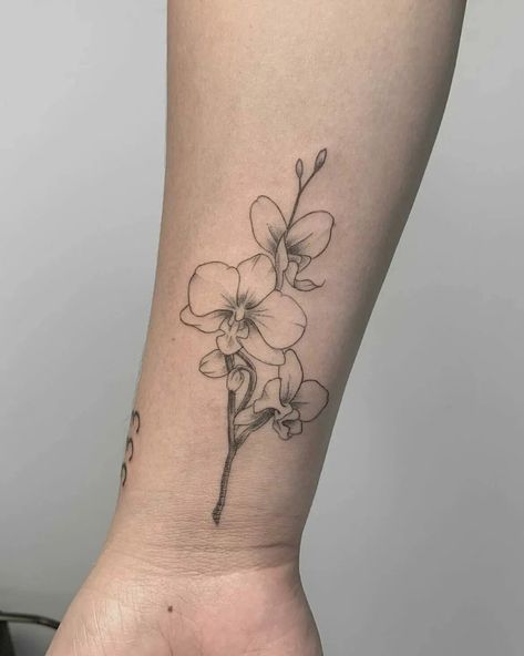 Line Work Orchid Tattoo, Orchid And Carnation Tattoo, Orchid Tattoo Linework, Orchid Line Drawing Tattoo Ideas, Orchid Memorial Tattoo, Orchid Tattoo Stencil, Minimal Orchid Tattoo, Orchid Tattoo Black And White, Phalaenopsis Tattoo