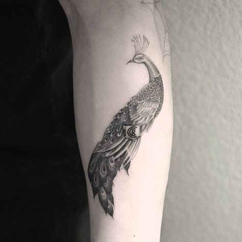 Single needle peacock tattoo on the left forearm. Peacock Tattoo Men, Small Animal Tattoos, Animal Tattoos For Men, Animal Tattoos For Women, Peacock Tattoo, Temporary Tattoo Designs, Sleeves Ideas, Little Tattoos, Minimal Tattoo