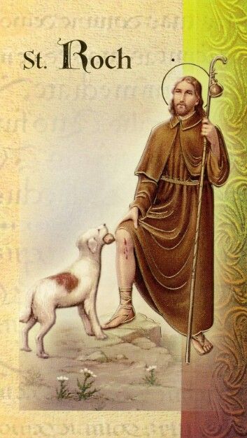 Saint Roch Maltese Yorkie Mix, St Francis Assisi, Friend Of God, Saint Roch, San Rocco, Teddy Bear Wallpaper, San Francesco, Bear Wallpaper, St Francis