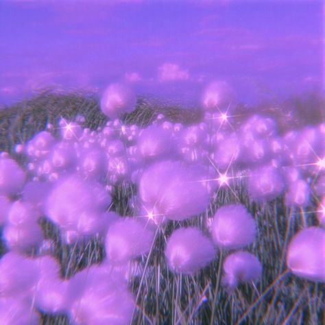 Lilac Aesthetic, Purple Aesthetic Background, Violet Aesthetic, Lilac Sky, Purple Vibe, Lavender Aesthetic, Dark Purple Aesthetic, Purple Themes, Purple Wallpaper Iphone