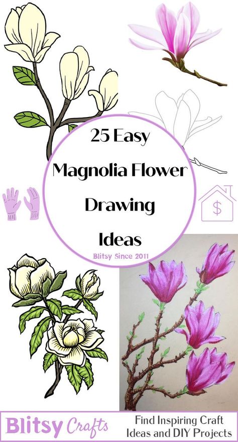 Draw Magnolia Flower, Morning Glory Flowers Drawing, Magnolia Flower Drawing, Flower Drawing Step By Step, Magnolia Drawing, Flower Drawing Ideas, Grass Drawing, Flower Step By Step, Morning Glory Flowers