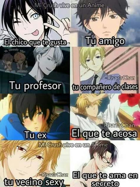 Memes Anime, Miraculous Ladybug Comic, Funny Bunnies, Diabolik Lovers, Manga Boy, Noragami, Otaku Anime, Anime Love, Anime Memes