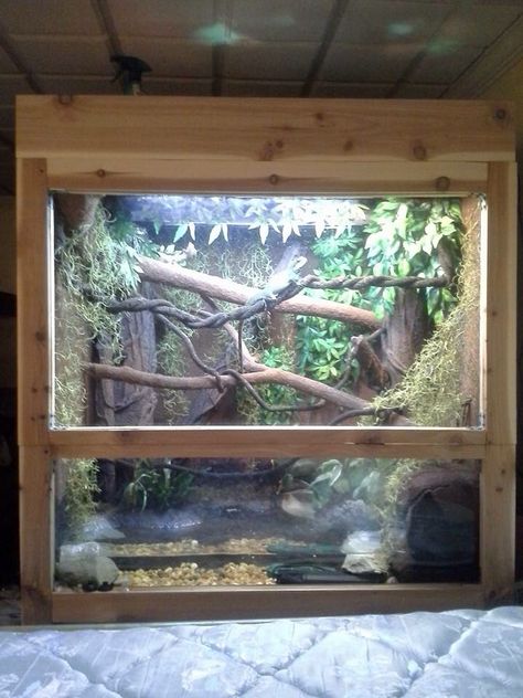 Enclosure Ideas                                                                                                                                                      もっと見る Lizard Cage, Iguana Cage, Snake Cage, Snake Cages, Diy Reptile, Snake Terrarium, Snake Enclosure, Chinese Water Dragon, Enclosure Ideas