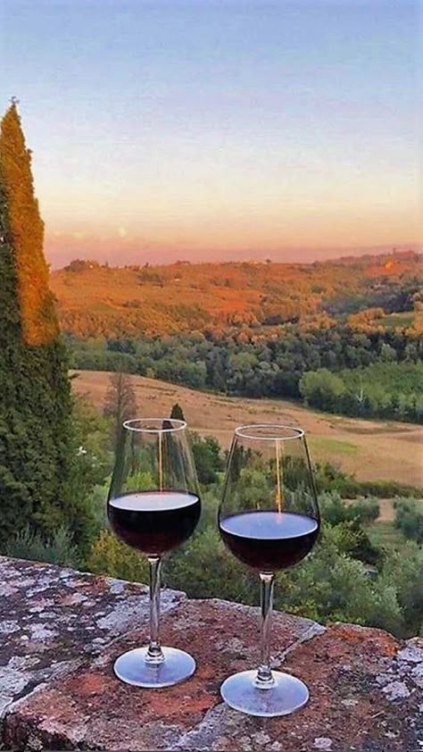 Italian Country Home, Going To Italy, The Parent Trap, Italian Country, Parent Trap, Coffee Aesthetic, Napa Valley, Tuscany, Florence