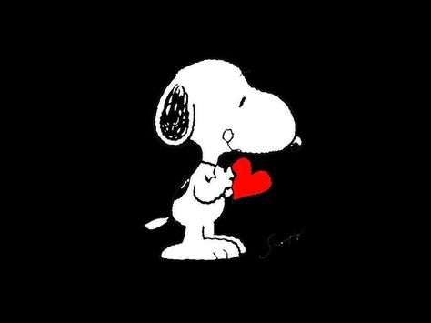 Snoopy Black Background, Snoopy Widget, Black Bg, Snoopy Valentine, Snoopy Wallpaper, Valentines Wallpaper, Color Aqua, Fav Characters, Peanuts Gang