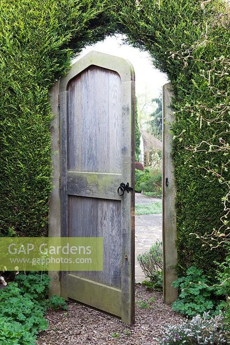 Open timber garden gate in conifer hedge - Swallow Hayes, Shropshire Arch Garden Gate, Hedge With Gate Entrance, Garden Gate Wood, Gate In Hedge, Arched Garden Gate, Cottage Gate, Garden Gate, Farm Entrance, Timber Gates