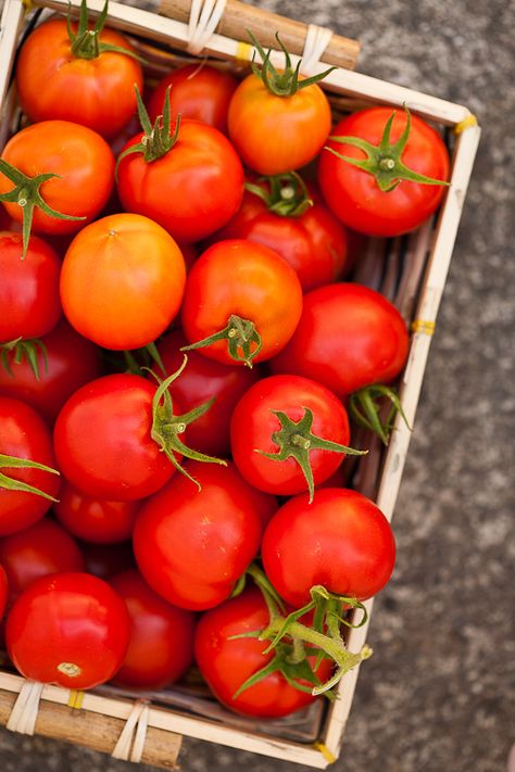 Veg Photography, Roasted Broccoli And Carrots, Pickling Spices, Growing Organic Tomatoes, Growing Organic Vegetables, Tomato Recipe, Vegetables Photography, Tomato Seedlings, Pickling Spice