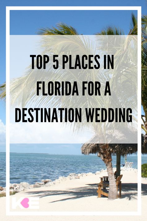 Fall Wedding In Florida, Destination Wedding In Florida, Beach Wedding In Florida, Destination Beach Wedding Locations, Destin Florida Wedding On The Beach, East Coast Beach Wedding, Small Destination Wedding Ideas, Bug Wedding, Destination Wedding Usa