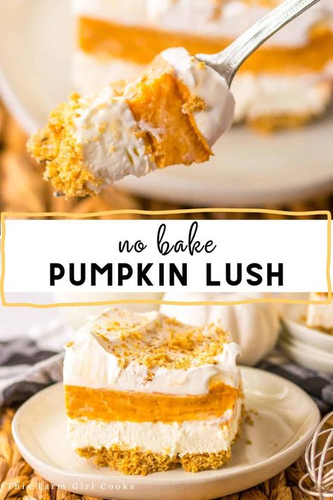 Dive into the fall season with this delicious Pumpkin Lush Dessert! Imagine a pumpkin filling, layered with cream cheese, all on a graham cracker crust. Pumpkin Cream Cheese Layered Dessert, No Bake Pumpkin Lush Pie, Pumpkin Lush Dessert 9x13, No Bake Pumpkin Lush, Pumpkin Pie Cheesecake Truffles, Pumpkin Lush Dessert Recipe, Pumpkin Lush Pie, Pumpkin Lush Dessert, No Bake Pumpkin Desserts