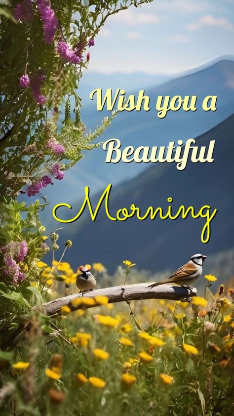 Sweet Good Morning Images, Good Morning Wishes Friends, Beautiful Good Morning Wishes, Lovely Good Morning Images, Good Night Beautiful, Beautiful Good Morning, Night Beautiful, Morning Nature, Good Morning Flowers Quotes