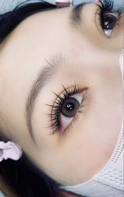 Doll Eye Lash, Natural Extensions, Wispy Volume, Natural Fake Eyelashes, Manga Lashes, Beige Blond, Lash Extensions Makeup, Lashes Extensions, Lash Extensions Styles